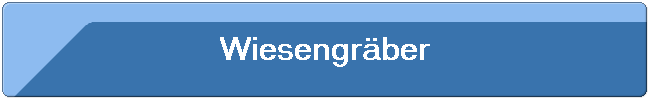 Wiesengrber