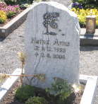 Stein mit Lebensbaum